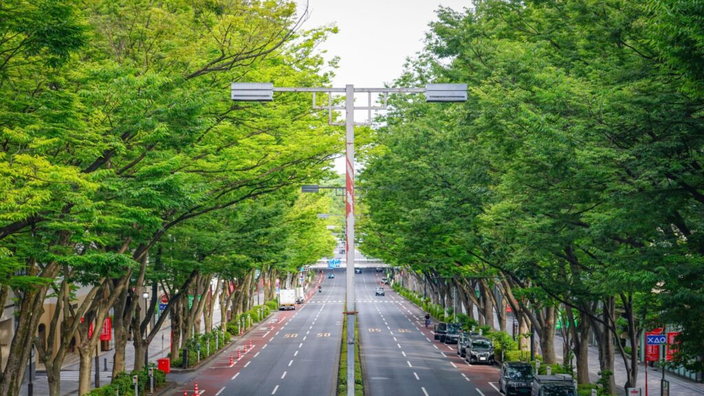 表参道でメンズ眉毛サロンを探すときのポイント　表参道の風景